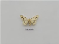 藏品(尺蛾225)的圖片